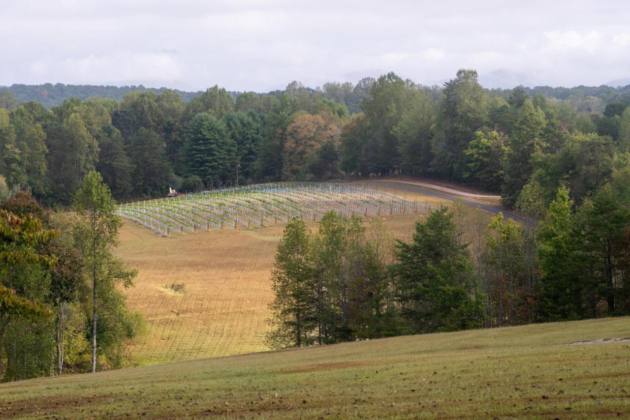 Dahlonega Resort And Vineyard Exterior photo